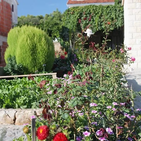 Apartments With A Parking Space Stari Grad, Hvar - 5730 Apartment